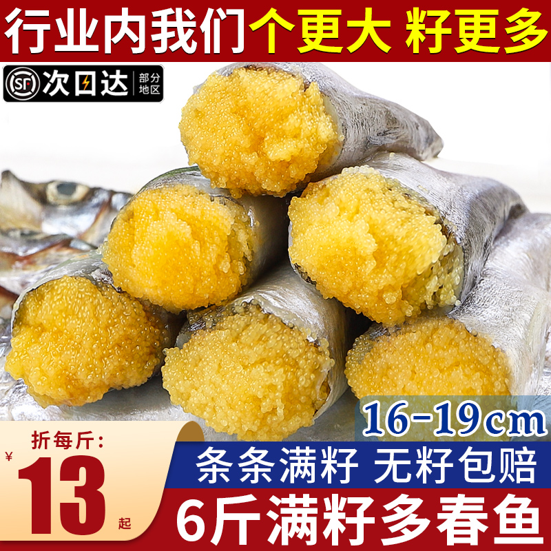 多春鱼满籽新鲜商用海鱼多籽鱼特大冻干海鲜水产鲜活冷冻烧烤食材