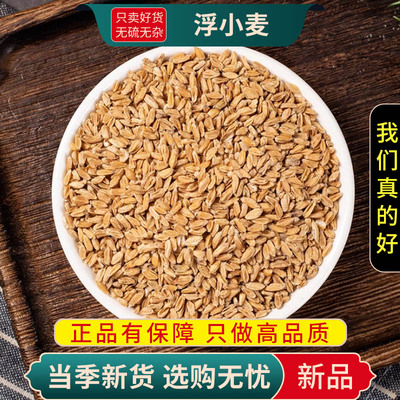 甄选浮小麦茶浮水小麦茶