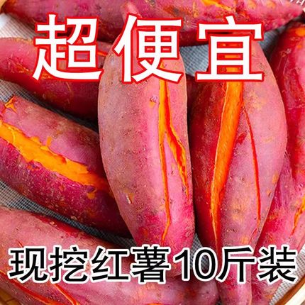 红薯新鲜沙地蜜薯板栗红薯糖心地瓜香薯山芋农家自种现挖红皮黄心