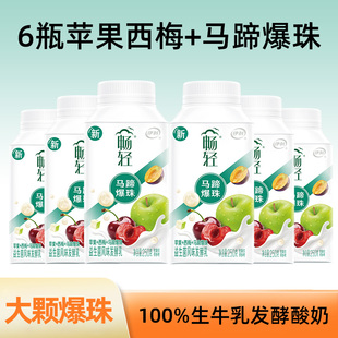 伊利畅轻酸奶爆珠燕麦苹果西柚青提蓝莓250g 品牌直发