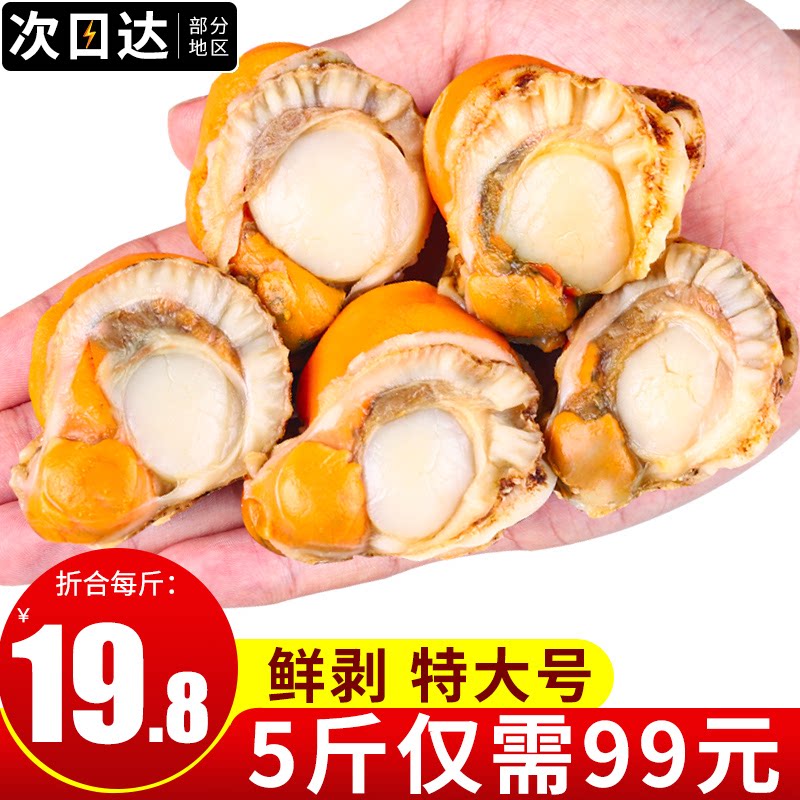 新鲜速冻扇贝肉特大号北城红贝冷冻海鲜火锅