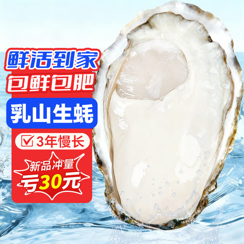 生蚝鲜活乳山生蚝海蛎子特大新鲜牡蛎整箱批发生鲜官方 5斤