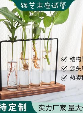 供应北欧简约铁艺木制试管玻璃摆件水培绿植花插花瓶室内玄关定制