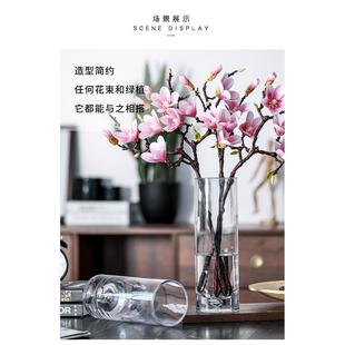 现代简约小号压制玻璃花瓶透明直筒干花富贵竹餐桌装饰品玻璃花瓶