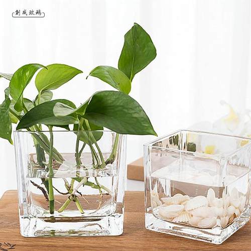 加厚透明水培玻璃方缸花瓶桌面摆件简约鱼缸绿萝10箱起批方形花瓶