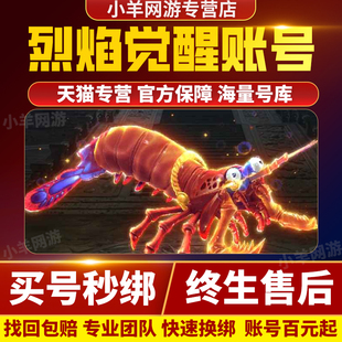 烈焰觉醒成品号手游账号传奇毕业高氪号高v号高战力永久使用出售