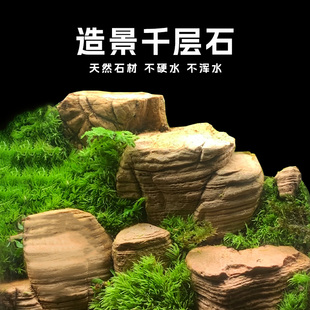 鱼缸造景千层石溪流石沙漠造景石头盆景微景观假山石头乌龟晒背