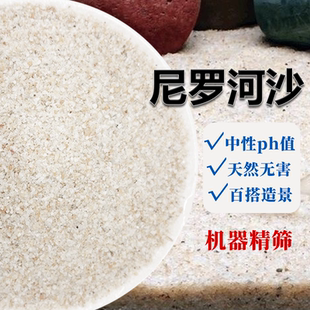 天然尼罗河沙化妆沙鱼缸造景底砂装 饰石头南美底沙鼠鱼流沙乌龟