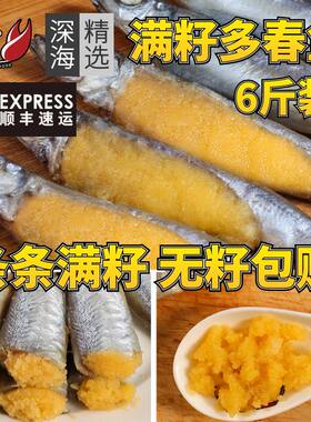 多春鱼满籽新鲜人吃籽鱼冷冻海鲜水产鲜活超特大海鱼烧烤食材商用