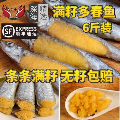 多春鱼满籽新鲜人吃籽鱼冷冻海鲜水产鲜活超特大海鱼烧烤食材商用