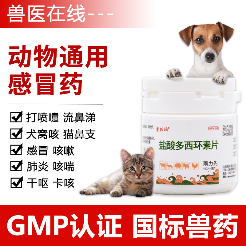 犬猫药盐酸多西环素片狗狗支气管炎宠物咳嗽药猫咪感冒肺炎犬窝咳,宠物/宠物食品及用品,猫呼吸道疾病药品,淘宝优惠券,粉丝福利购,淘宝优惠卷