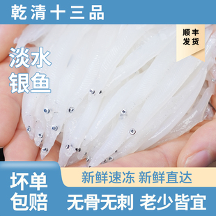 银鱼新鲜食用鲜活冷冻淡水水产营养面条鱼白饭鱼宝宝辅食太湖三白