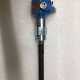 价 Endress+Hauser H10019250FE 电容物位计 FTI55-AAA1RV123A1A