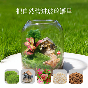 手工苔藓微景观生态瓶DIY迷你植物造景装饰品透明瓶内景观
