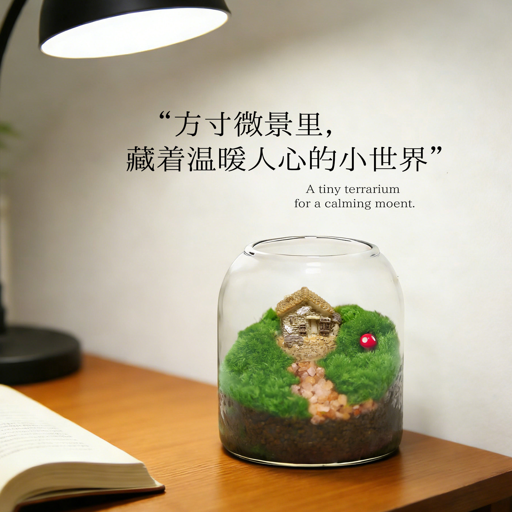 苔藓微景观创意桌面小房造景植物摆件礼物减压绿植生态瓶diy材料