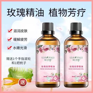 【宠粉】叶子草玫瑰精油100ml 拍1发2瓶＋送按摩滚轮和梳子美容板