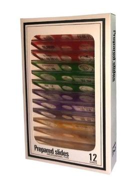 12x Kids Prepared Microscope Slides Lab Supplies School