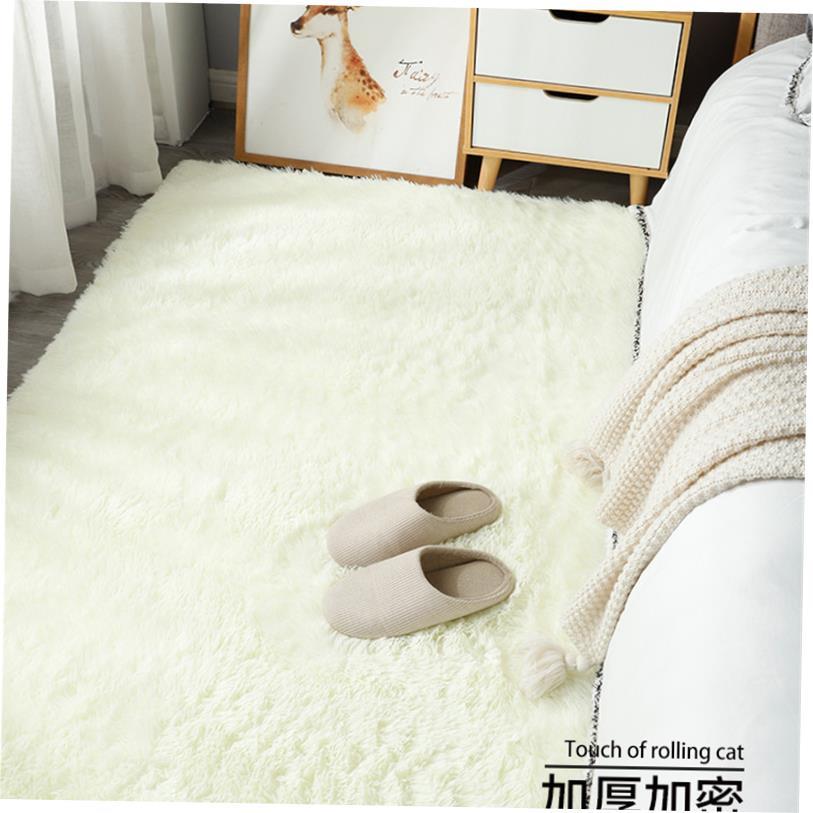 Winter Carpet Rugs Plush Carpets Living Room Bedroom Mats 毯