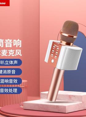 纽曼话筒音响一体麦克风K歌神杆式卡拉OK家用型MC10MC10
