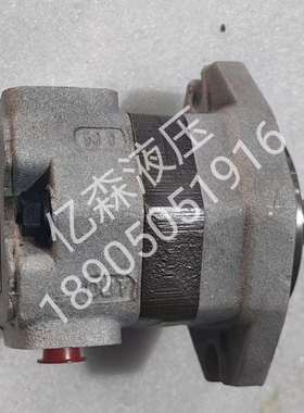 丰兴TOYOOKI齿轮泵TCP2-F6-MR1-ATCP2-F8-MR1-ATCP2-F10-MR1-A