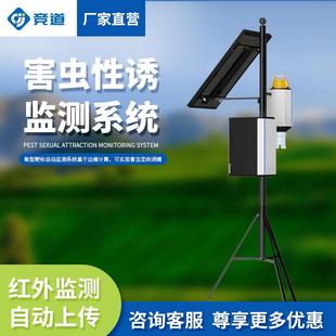 智能虫情性诱测报仪昆虫性诱测报性诱测报灯害虫自动性诱监测仪