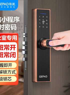 歌派PT-ZWS03 指纹锁 智能锁指纹密码锁电子锁 领导办公室门锁