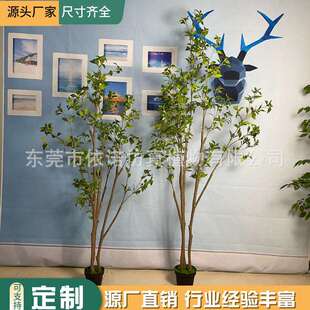 仿真马醉木仿真树室内装饰造景摆件摄影橱窗绿植仿真吊钟南天竹