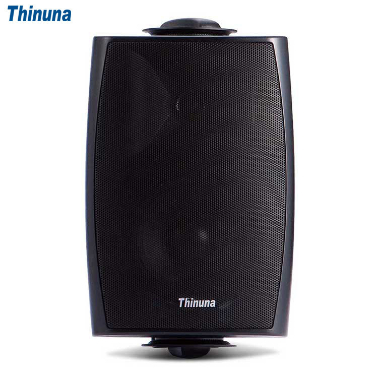 Thinuna FS-X4全天候防水壁挂音箱户外校园广播系统背景音乐音响