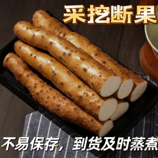 采挖断果垆土铁棍山药河南焦作温县软糯粉面碎新鲜正宗怀山药干片