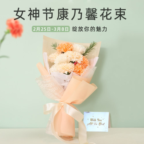 三八妇女节礼物手工diy康乃馨花束38女神节送公司员工福利小礼品 - 封面