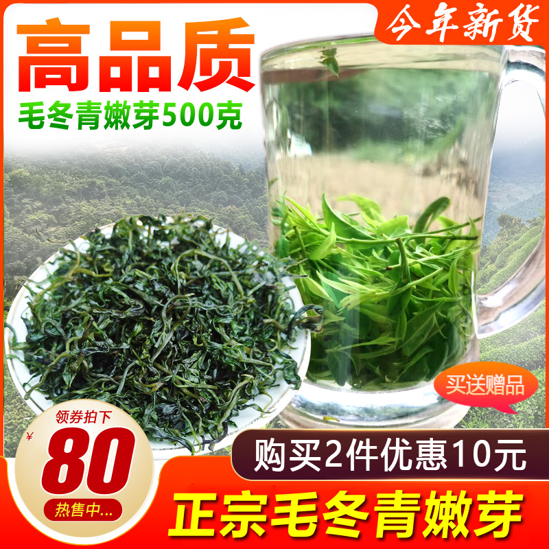 毛冬青嫩芽 云南嫩叶毛冬青茶叶精选青山绿水小叶苦丁茶正品