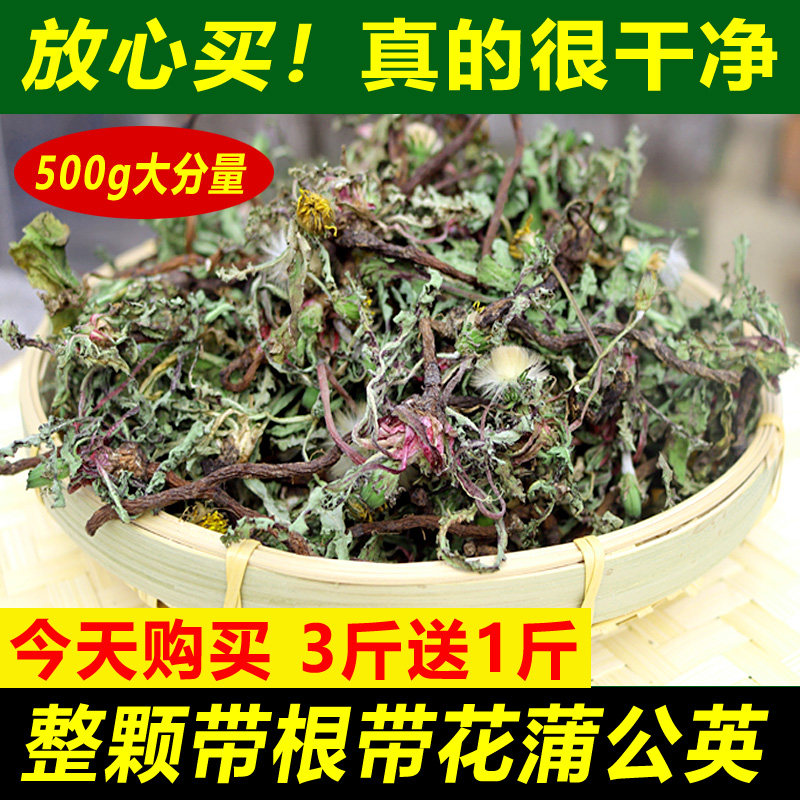 整颗蒲公英棵带根浦公英水洗晒干纯婆婆丁全颗草花茶株500g