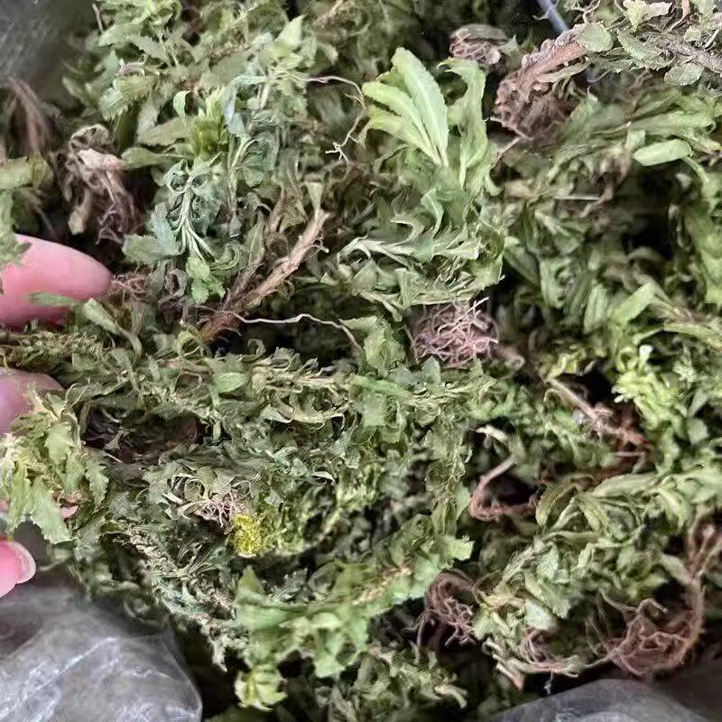 千层塔中药材 500克包邮小叶千层塔 毛青杠 虱子草千层塔草 蛇足
