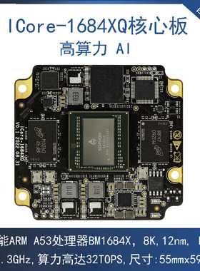 iCore-1684XQ八核高算力AI核心板32T算力BM1684X 开放SDK SOPHON