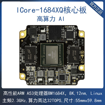BM1684X核心板八核高算力AI32T