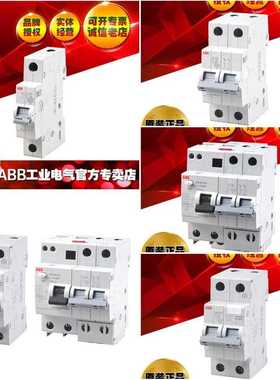 漏电短路保护器断路器电闸漏保GSE204L AC-C20/0.03/20A/4P