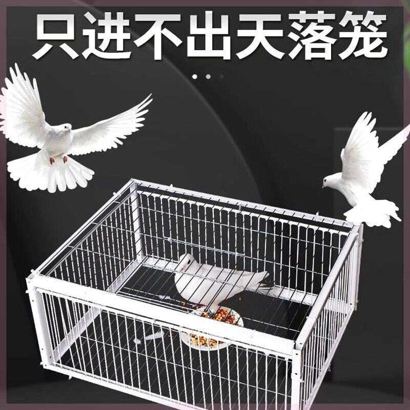 神器鸽子笼天落只进不出户外捕全自动撞门加密收鸟笼用新款网