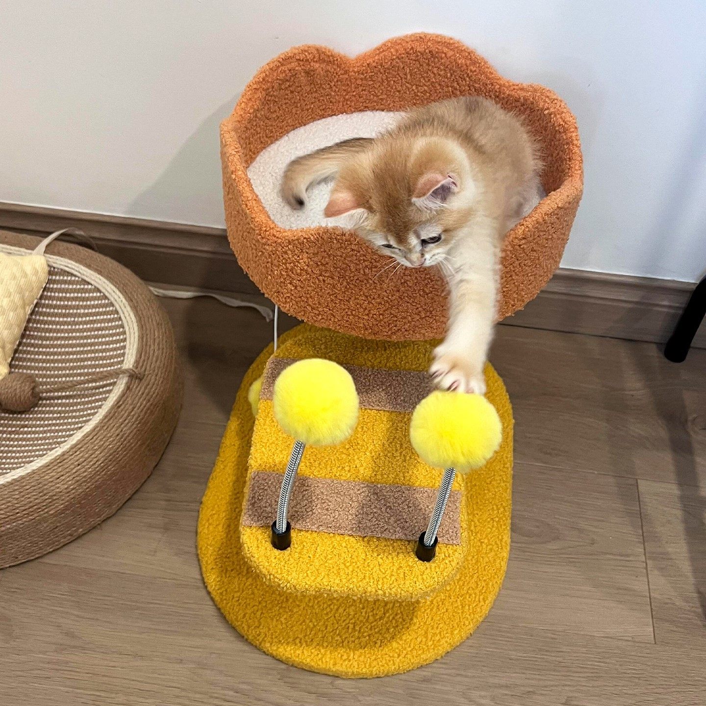 猫窝四季通用上下两层家用猫爬架小户型不占地磨爪猫抓板磨爪玩具,宠物/宠物食品及用品,猫窝/屋/帐篷/沙发,淘宝优惠券,粉丝福利购,淘宝优惠卷