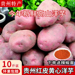 贵州特产红皮黄心洋芋本地正宗大土豆十斤高山应季 新鲜蔬菜马铃薯