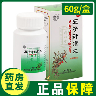 同仁堂五子衍宗丸60g 补肾益精肾虚阳痿不育遗精早泄腰痛尿后余沥