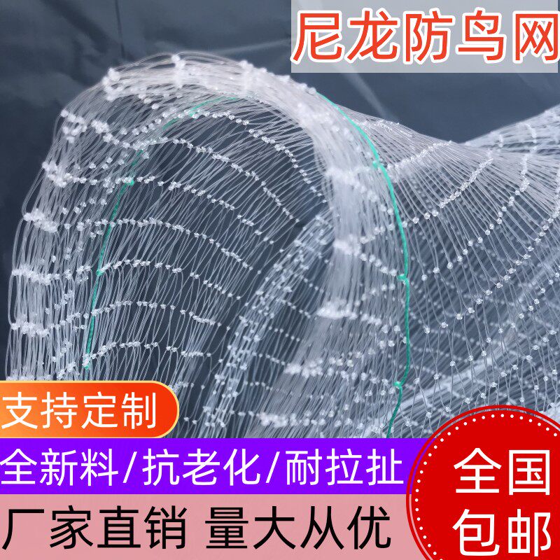 防鸟网果树草莓大棚樱桃葡萄梨树果园防鸟用网尼龙养殖网鱼塘天网