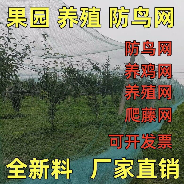 尼龙线防鸟网大棚养鸡尼龙网养殖天网鱼塘果园果树樱桃树防鸟用网,五金/工具,爬架网,淘宝优惠券,粉丝福利购,淘宝优惠卷