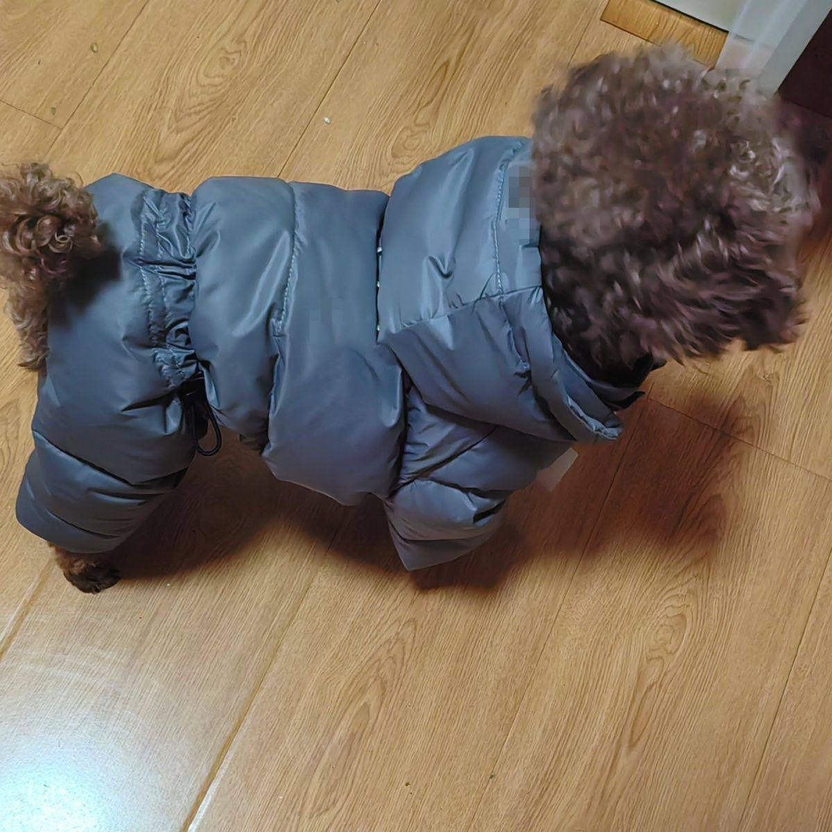 狗狗衣服冬季加厚四脚可