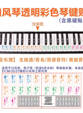 口风琴32键初学者专用