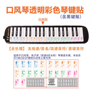口风琴键盘贴37键32键贴纸学生用琴键数字音标贴音符贴音名音符
