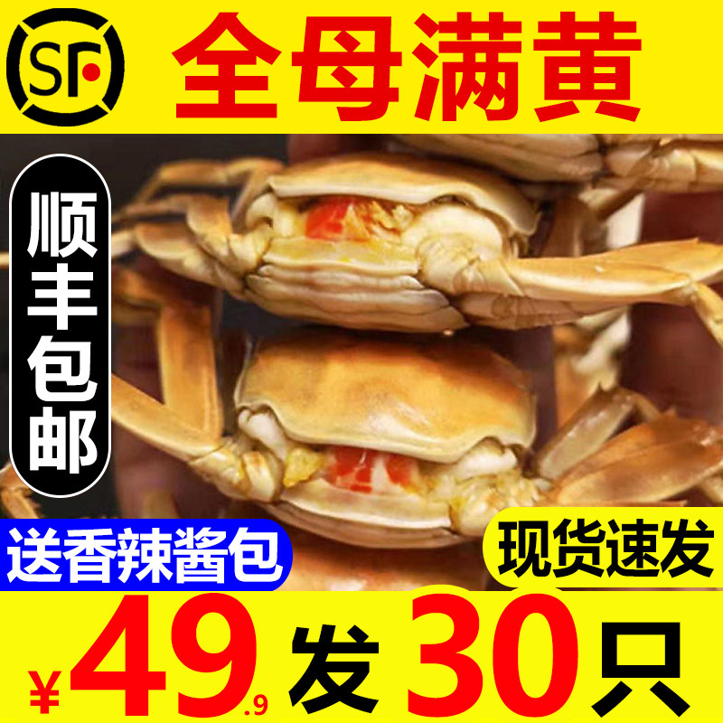 30只全母满黄小螃蟹二元蟹鲜活大闸蟹毛蟹稻田蟹河蟹醉蟹顺丰使用感如何?