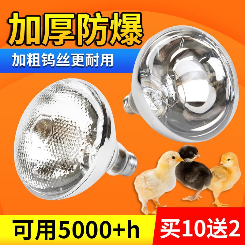 养殖场专用小鸡育雏保温灯
