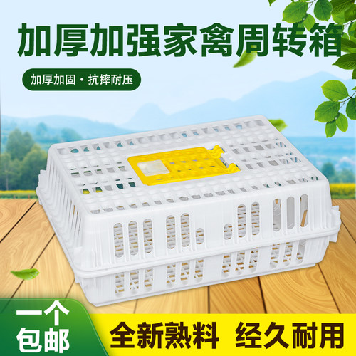鸡笼运输笼加厚特大筐大号周转箱
