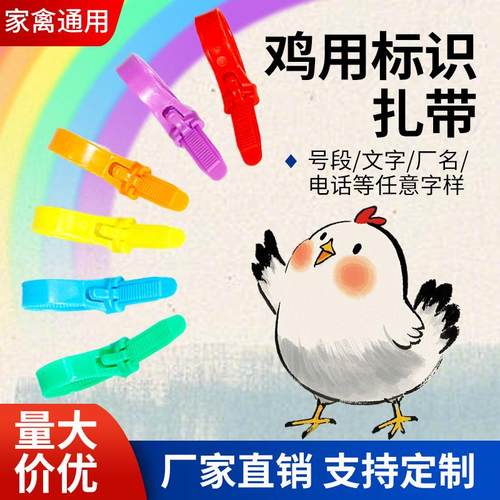 鸡脚环捆绑扎带可重复使用