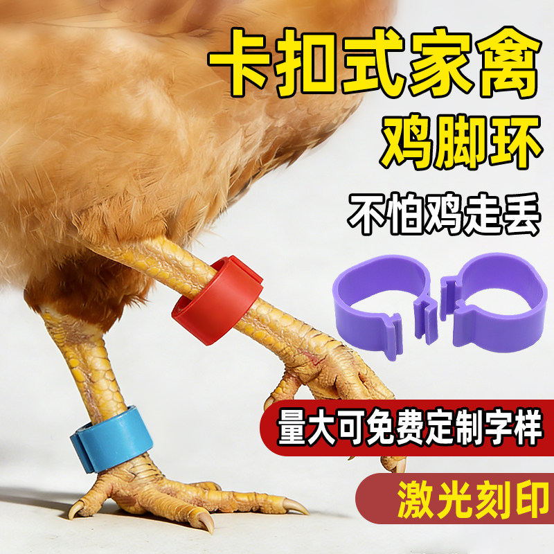 鸡脚环卡扣式鸡用脚环脚圈信鸽子脚圈记号识别环鸡鸭鹅家禽类脚环